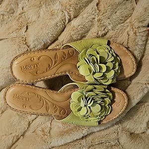 Born green flower slides